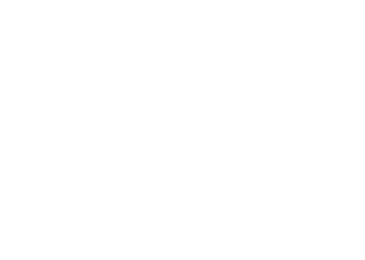 Van Nes